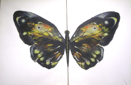 butterfly1