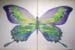 Butterfly2_50x80