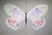 Butterfly3_1399